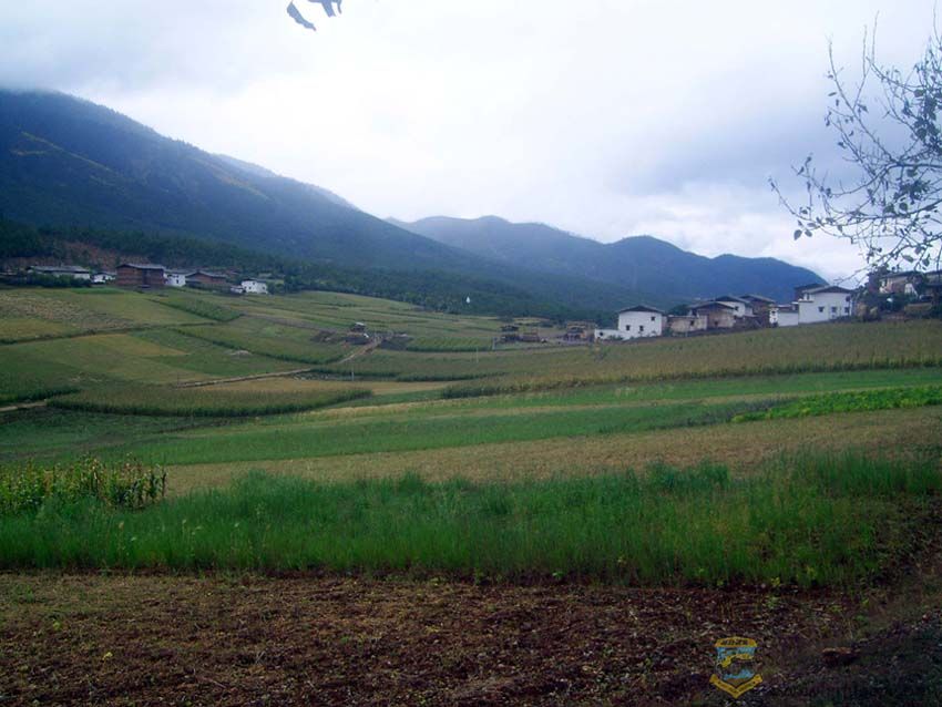 SV101839.jpg