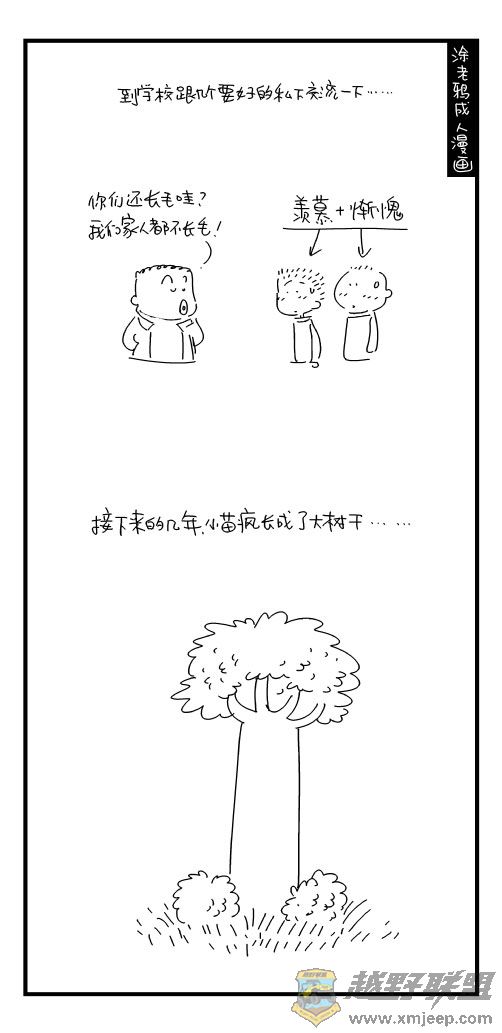 19.jpg